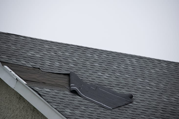 Bad Shingles and Roof Issues